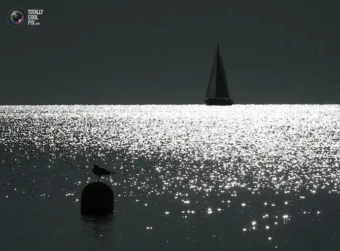 Неделя в фотографиях