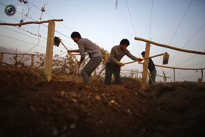 Неделя в фотографиях