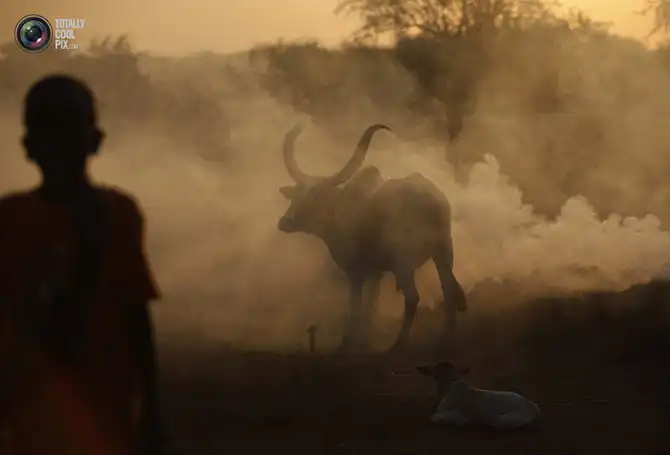 Неделя в фотографиях