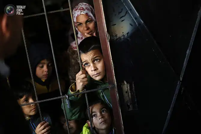 Неделя в фотографиях