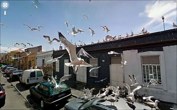Классные снимки с Google Street View