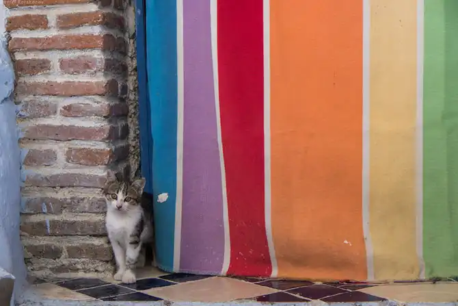 Большое путешествие по Марокко