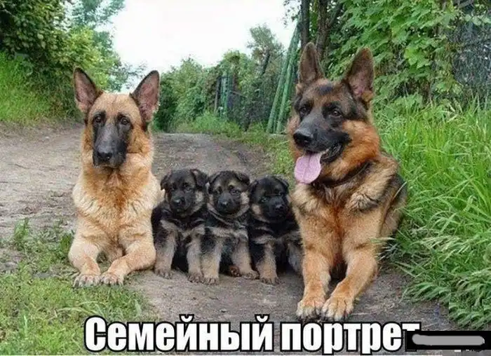 Разнообразная подборка =) Для настроения!