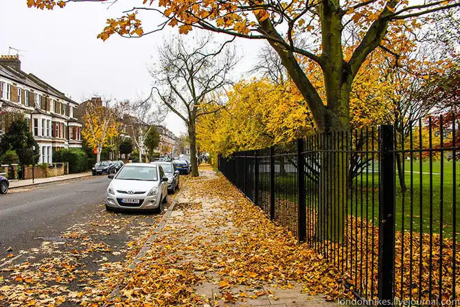 Как живут студенты в Лондоне