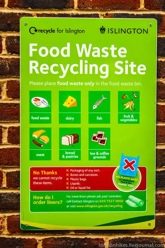 Как живут студенты в Лондоне