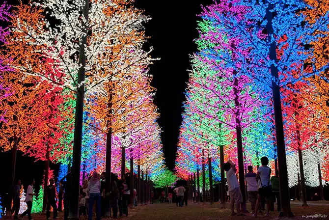 22 примера праздничных огней на улицах городов