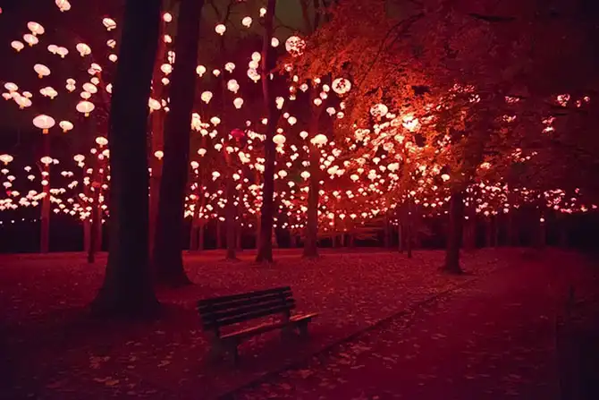 22 примера праздничных огней на улицах городов