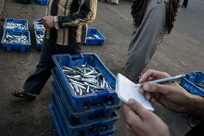 Рыбалка на побережье Сектора Газа