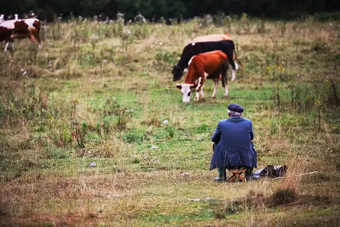 Край, где живут облака
