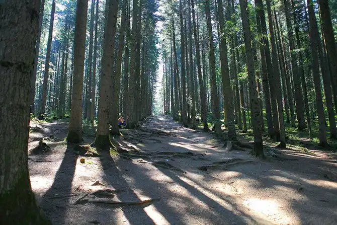 Край, где живут облака