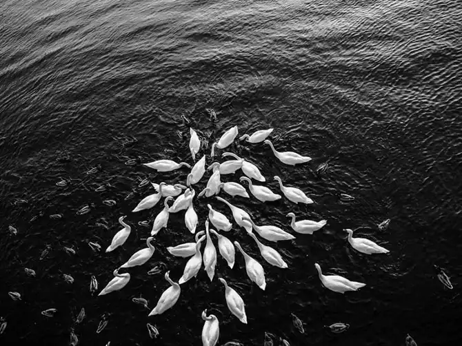 Лучшие фотографии National Geographic ноября 2013