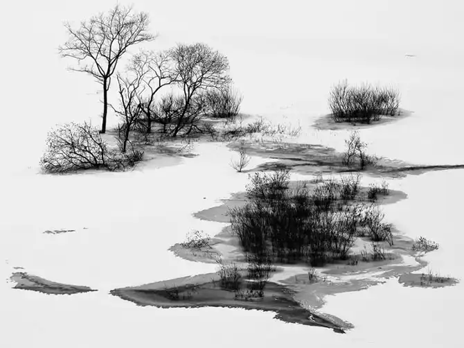 Лучшие фотографии National Geographic ноября 2013