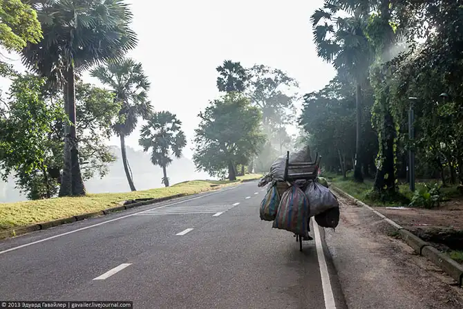 Экскурсии по грандиозным храмам Камбоджи