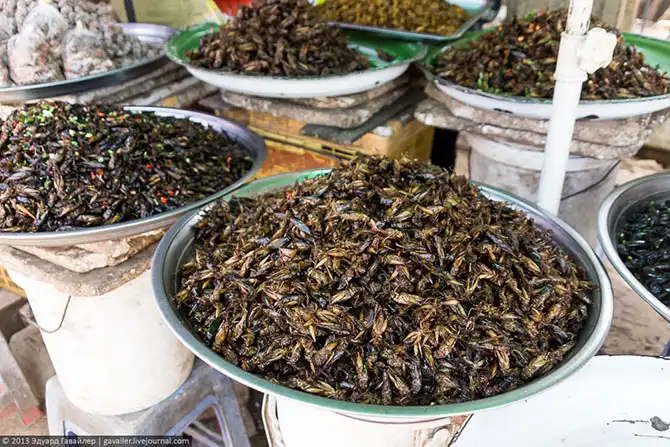 Экскурсии по грандиозным храмам Камбоджи