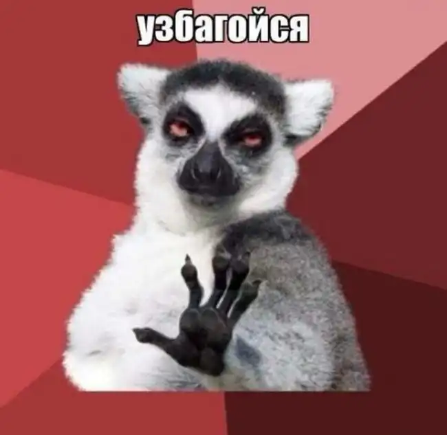 Самые популярные интернет-мемы Рунета
