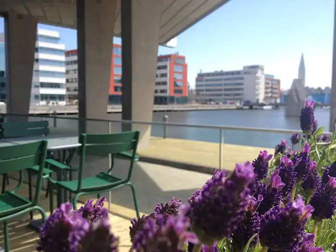 Как из просмотра фильма может зародиться безумная идея?