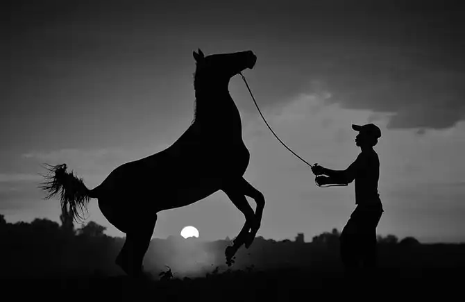 AdMe Photo Awards 2013 (часть 2)