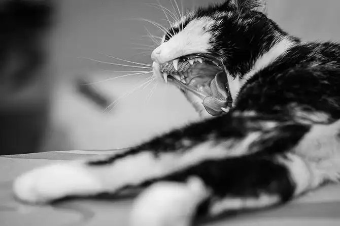 AdMe Photo Awards 2013 (часть 2)