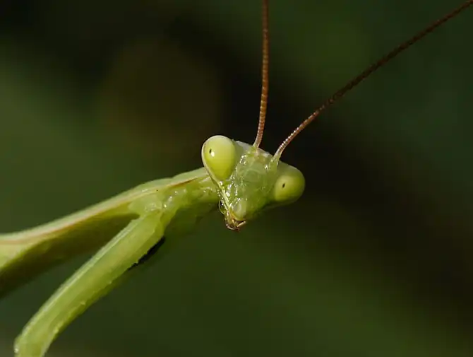 AdMe Photo Awards 2013 (часть 2)