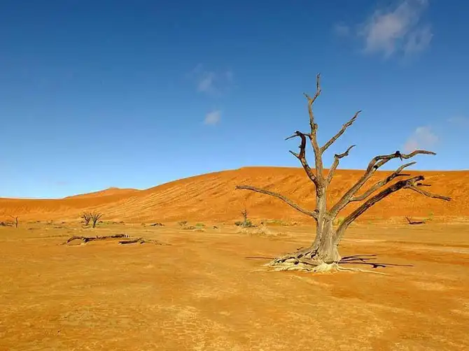 Сюрреалистический парк Намиб-Науклуфт