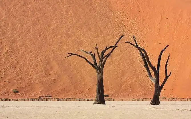 Сюрреалистический парк Намиб-Науклуфт