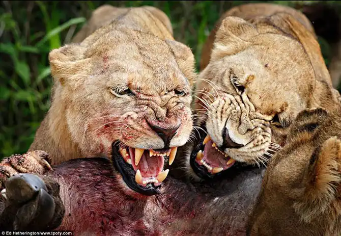 Победители конкурса Travel Photographer Of The Year 2013