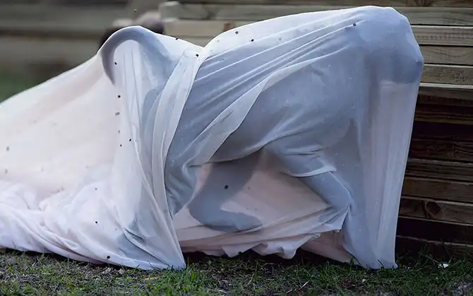 Фотографии животных за неделю