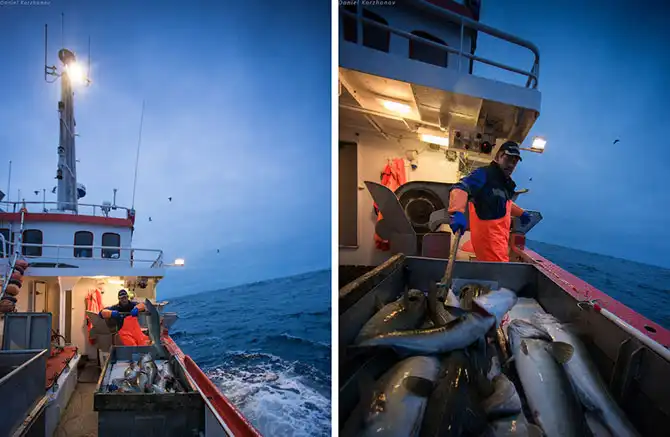 Как ловят рыбу в Норвегии