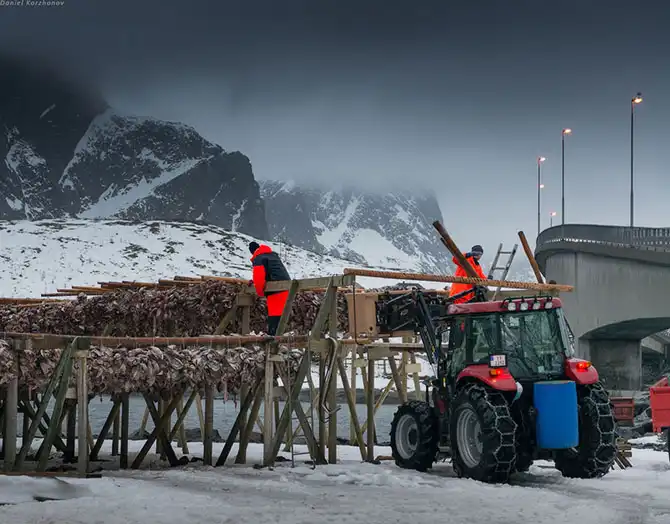 Как ловят рыбу в Норвегии