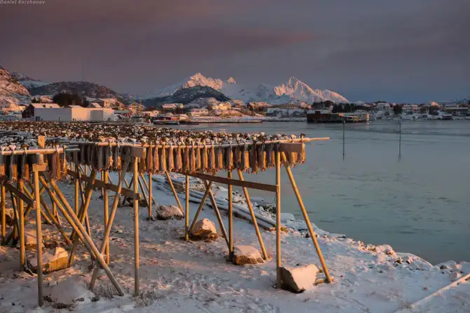 Как ловят рыбу в Норвегии
