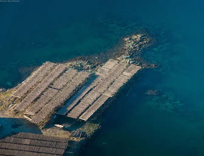 Как ловят рыбу в Норвегии