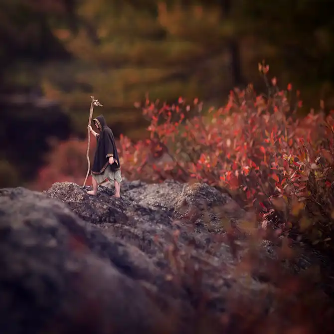 Снимки 14-летнего гения фотографии