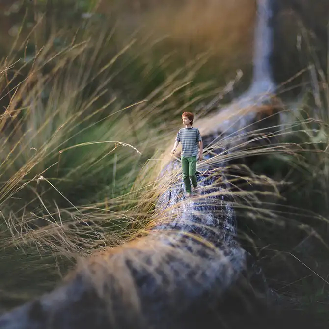 Снимки 14-летнего гения фотографии