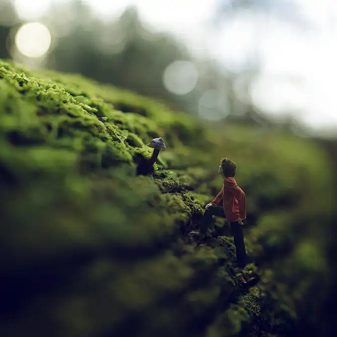 Снимки 14-летнего гения фотографии