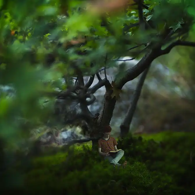 Снимки 14-летнего гения фотографии