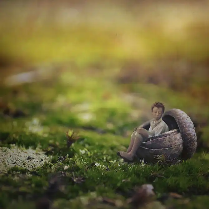 Снимки 14-летнего гения фотографии