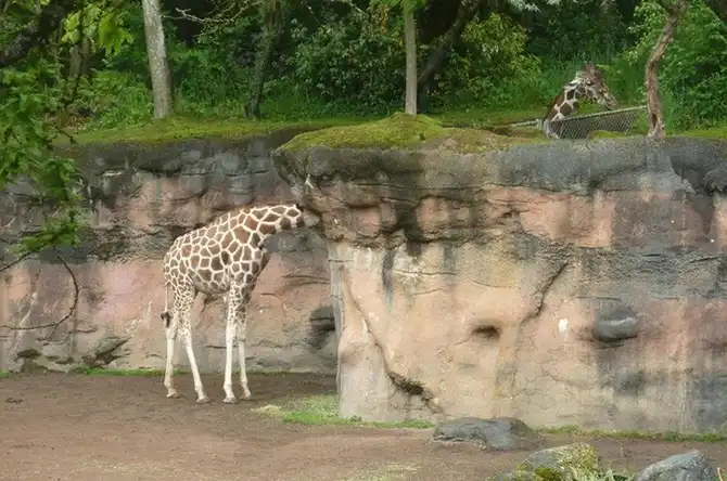 Лучшие фотоиллюзии года