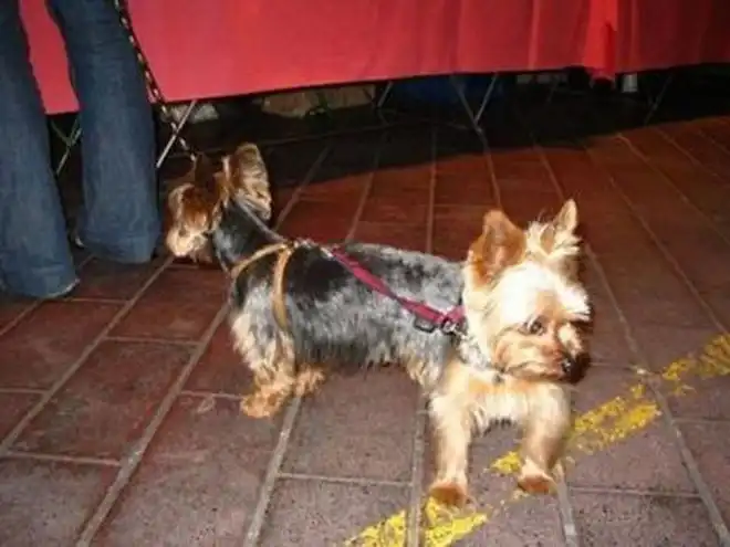 Лучшие фотоиллюзии года