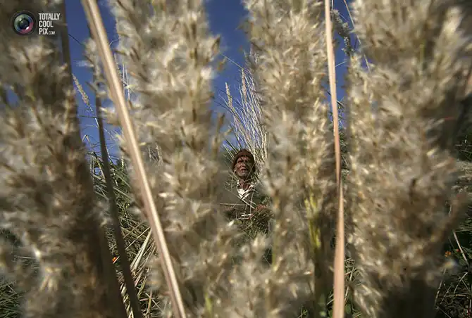 Неделя в фотографиях