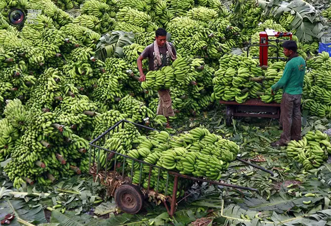 Неделя в фотографиях