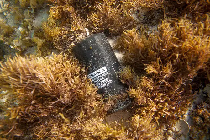 Что происходит с обратной стороны волны