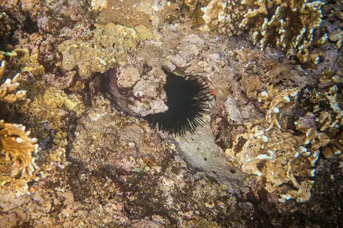 Что происходит с обратной стороны волны