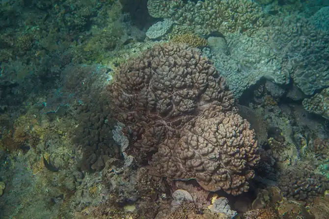 Что происходит с обратной стороны волны