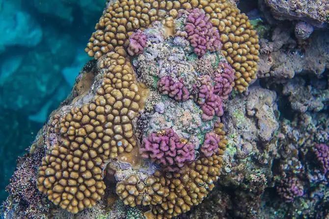 Что происходит с обратной стороны волны