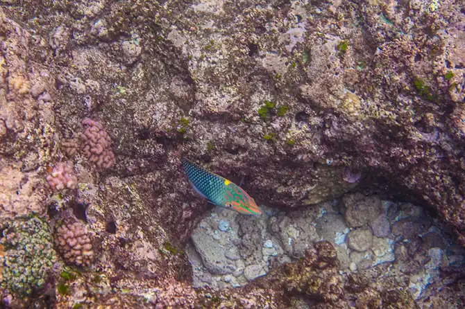 Что происходит с обратной стороны волны