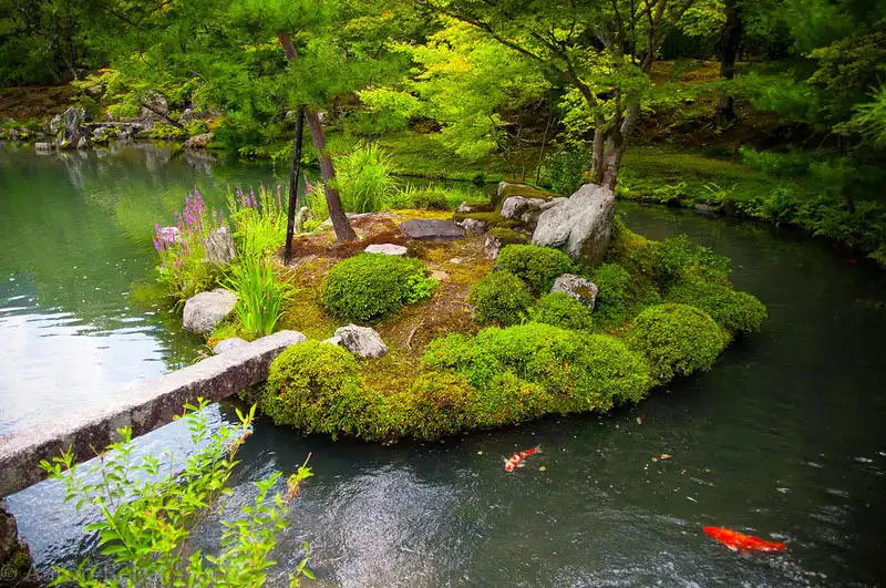 Сады замка Нидзё (19 фотографий)