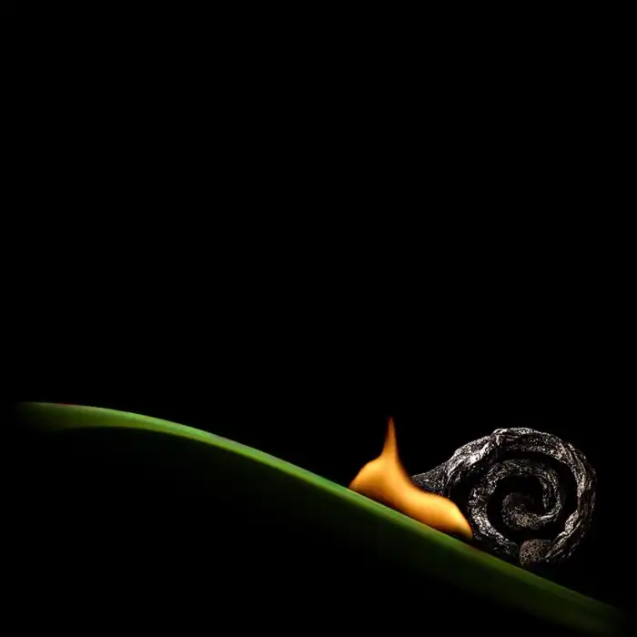 Искусство сожженных спичек в творчестве Станислава Аристова