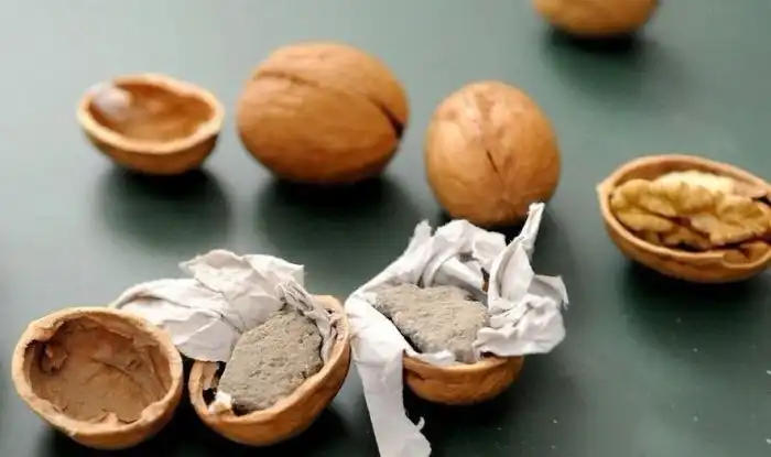 Поддельные грецкие орехи