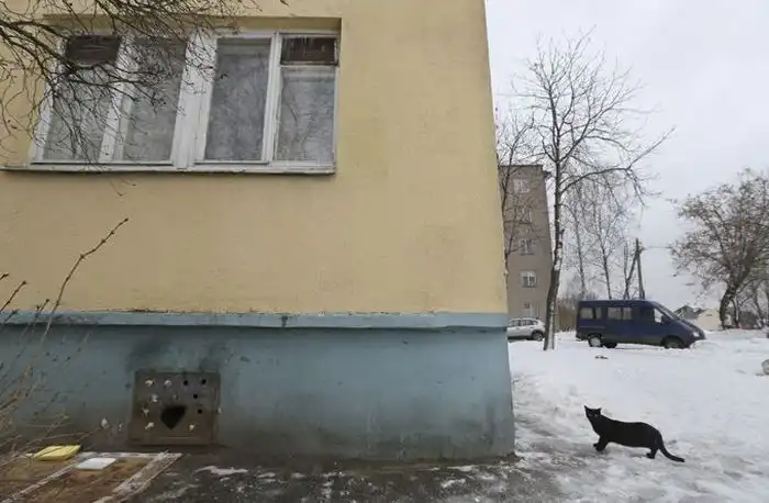 Коммунальная служба Минска хоронит котов заживо