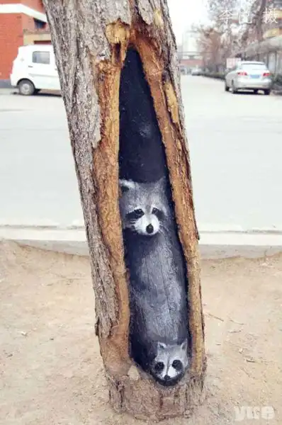 Картины на стволах деревьев от китайской студентки
